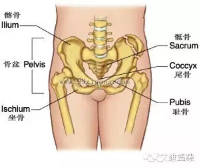 d鎟da(chn)ޏ(f)ģώĸo(h)